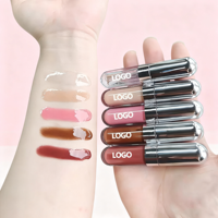 Gloss à lèvres minéral végétalien de haute qualité de marque privée, transparent et riche, rouge à lèvres liquide longue durée, hydratant, taille standard