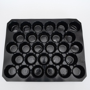 Dùng Một Lần PET/PP/PVC Nhiệt Hình Thành Chèn Khay Trái Cây Khay - Product Image 2