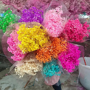 Directo de fábrica PreservedFreshFlower Babysbreath120g Venta al por mayor Gypsophila <span class=keywords><strong>Paniculata</strong></span> L - Product Image 1