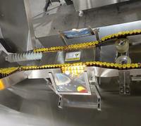 Machine d'inspection visuelle des bouteilles LPMIE pour flacons de liquides oraux, ampoules et bouteilles en verre 220V/110V Garantie 1 an Facile à utiliser