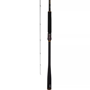 Canne à pêche Daiwa Lateo Xv 6m, action moyenne rapide, pour la pêche au bar en mer - Product Image 5