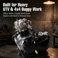Moteur de moto refroidi par eau de 300 cm³, assemblage complet avec marche arrière pour les fabricants et assemblateurs de véhicules utilitaires
