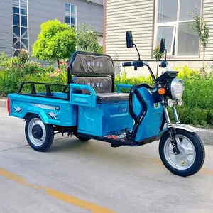 電動三輪オートバイ電動三輪車e-Trikes 3輪