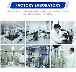 โรงงานผลิตผงโคเอนไซม์คิวเท็นเกรดอาหาร ราคาถูก ความบริสุทธิ์ 98% CAS 303-98-0 ยูบิควิโนน ได้รับการรับรองฮาลาลและโคเชอร์ บรรจุกล่อง 25 กิโลกรัม - Product Image 5