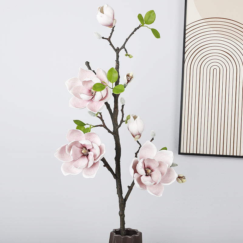 สีม่วงอ่อน