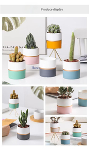 Vaso Fioriera <span class=keywords><strong>in</strong></span> <span class=keywords><strong>Ceramica</strong></span> per <span class=keywords><strong>Piante</strong></span> <span class=keywords><strong>Grasse</strong></span> <span class=keywords><strong>in</strong></span> Stile Nordico, Decorazione Unica per Interni con Verniciatura a Polvere, Piccolo Vaso per <span class=keywords><strong>Piante</strong></span> e Fiori da Appendere all'Ingrosso - Product Image 6