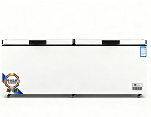 Équipement de réfrigérateur pour supermarché en gros, congélateur de cuisine de restaurant profond et grand, fourniture d'usine, armoire - Product Image 3