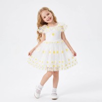 Robe en tulle brodée marguerites pour filles, robe de princesse à manches volantées pour enfants, robe de fête florale blanche coupe trapèze pour enfants ODM