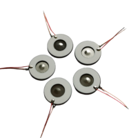 Placa Atomizadora Microporosa Soldada de Material Compuesto PZT-316L, Accesorio para Transductor Ultrasónico