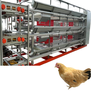อุปกรณ์เลี้ยงไก่เชิงพาณิชย์แบบกรงแบตเตอรี่ชนิด H พร้อมระบบเก็บไข่อัตโนมัติ - Product Image 1