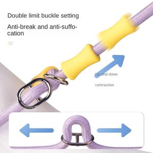 Nouvelle laisse <span class=keywords><strong>pour</strong></span> <span class=keywords><strong>chien</strong></span> à motif uni, en polyester anti-rupture, avec poignée rembourrée et ruban décoratif, accessoires <span class=keywords><strong>pour</strong></span> animaux de compagnie - Product Image 3