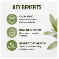 Huile essentielle de sauge pure et naturelle, antibactérienne et purifiante spirituelle ; Convient pour les diffuseurs et le bien-être à domicile.