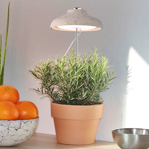 J & C Miniarden E-umbrella Plant Grow Light <span class=keywords><strong>LED</strong></span> Herb Garden Chiều Cao Điều Chỉnh Tự Động Hẹn Giờ-Gỗ Patte Màu 2022 - Product Image 1