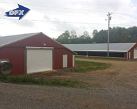 Tunnel léger ferme poulailler soudé coupe et plié maison de poulets de chair pour l'élevage de volailles hangar agricole en plastique