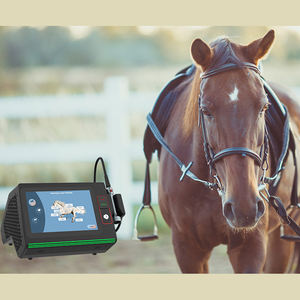 घोड़े और कुत्ते के लिए क्लास IV पशु चिकित्सा दर्द निवारक मशीन हाई पावर 30-60W पशु चिकित्सा लेजर फिजियोथेरेपी - Product Image 1