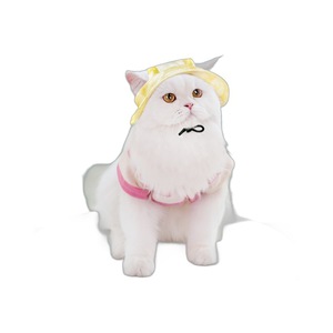 Có Thể Điều Chỉnh Dây Đeo Rắn Mù<span class=keywords><strong>a</strong></span> Hè Mặt Trời Bảo Vệ Thân Thiện Với Môi Mèo Hat Chống-đổ Ngư Dân Thiết Kế Polyester Con Chó Mèo Vật Nuôi Nguồn Cung Cấp - Product Image 5