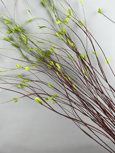 RK006 ขายส่งกิ่งไม้จำลองคุณภาพสูง กิ่งต้นหลิว กิ่งไม้แห้ง แบบเส้น - Product Image 6