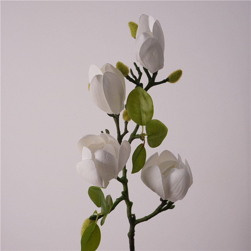 4 small magnolia-white