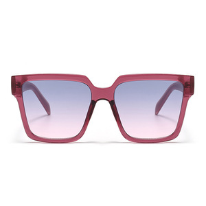 Large Frame Sunglasses UV400 Protection Type 3 Sunshades Unisex Outdoor Fashion Travel Look - Product Image 5