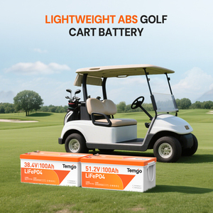 Temgo 48V 100Ah Deep Cycle LiFePO4 Batterie mit Intelligenter Auto-Balancing 200A BMS für Golfcarts und AGV - Product Image 2