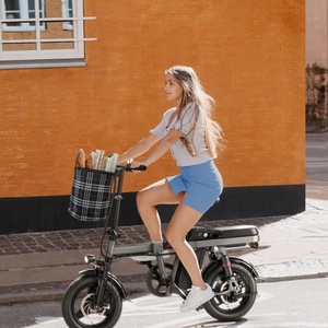 <span class=keywords><strong>Vélo</strong></span> <span class=keywords><strong>électrique</strong></span> 750W à <span class=keywords><strong>moteur</strong></span> <span class=keywords><strong>central</strong></span> 2025 pour femmes avec batterie au lithium, <span class=keywords><strong>vélo</strong></span> <span class=keywords><strong>électrique</strong></span> urbain - Product Image 6
