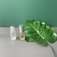 Bouteilles en verre à bille roulante de 5 ml et 10 ml, nouveau design, bouteilles à bille en verre personnalisées, impression personnalisée, bouteilles en verre dépoli transparent pour huiles essentielles