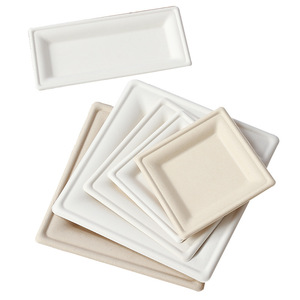 Barquettes carrées biodégradables en pulpe de papier, assiettes jetables épaissies pour plats à emporter, pique-niques et barbecues - Product Image 4