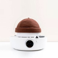 Défroisseur, nettoyeur, fer à repasser et sèche-chapeaux électrique portable pour la maison, les voyages, les salons et l'entretien des perruques