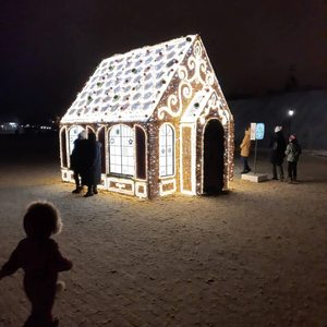 Gingerbread House Silhouette <b>Light</b> - Battery Operated Cluster <b>Light</b> with <b>Rope</b> & Neon Effects - Product Image 5