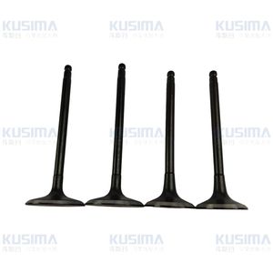 Nouveaux arrivages, pièces de soupapes de moteur VK56VD VK56DE, kit de soupapes d'admission et d'échappement pour Nissan <span class=keywords><strong>Infiniti</strong></span> VK56 5.6L <span class=keywords><strong>V8</strong></span>, garantie 1 an - Product Image 4