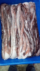 Bevroren Giant Inktvis Lange Seksuele Tentakel - Product Image 4