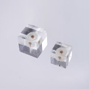 קישוט שולחן עבודה משובץ אקריליק בצורת שן הארי, קישוט לבית, דגימת פרח מיובש, מתנה מיוחדת - Product Image 4