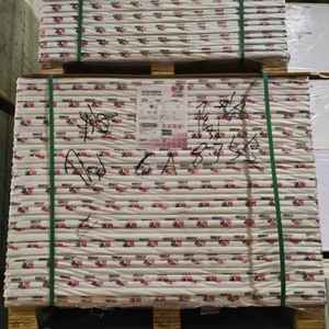 APP C2S <b>Double</b>-<b>Sided</b> Gloss Paperboard Durable Coated Material Glossy art paper - Product Image 6