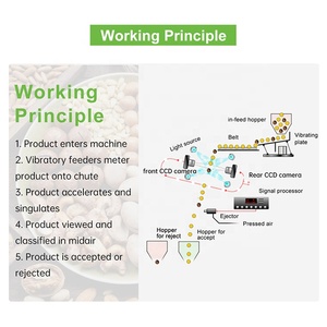 Máy Tách Vỏ Hạt Điều Wesort Cho Nhà Máy Chế Biến Hạt Điều - Product Image 2