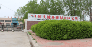 Hengqing CE chứng nhận hq1018 phòng tập thể dục thiết bị sức mạnh Máy Thiết bị tập thể dục đa chức năng <span class=keywords><strong>ROTARY</strong></span> thân máy - Product Image 6