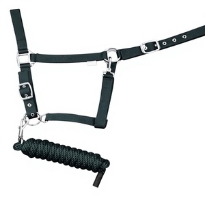 Customized Personalized Nylon Horse Padded <b>Halter</b> English Saddle Rope Lead High Quality Waterproof Durable OEM Custom Logo - Product Image 3
