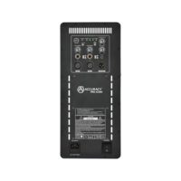 Module d'amplificateur pour enceinte D6-3.2k/4.1K Module d'amplificateur de puissance pour applications d'enceintes