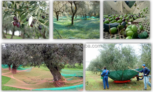 Catégorie de produit 100% Virgin New HDPE PE Agriculture Olive Harvest Collecting Net <span class=keywords><strong>Golf</strong></span> Diviseurs - Product Image 4