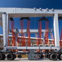 Grue mobile hydraulique robuste de qualité supérieure pour le transport de bateaux et yachts