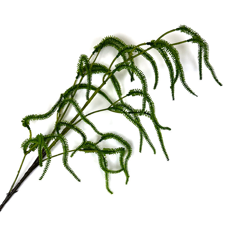 Oruga (color claro)