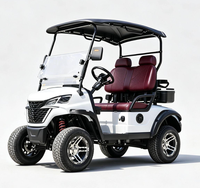Voiturette électrique haut de gamme 2 places conçue pour les passionnés de golf avec sièges confortables, une conduite fluide et un design élégant.
