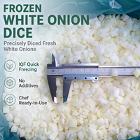 Oignons Blancs Découpés IQF en Gros, Grade A, Halal, Casher, Certifiés HACCP, Qualité Export, 10kg, Pour Services de Restauration