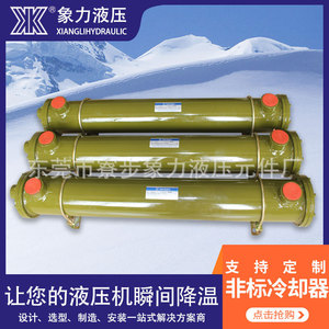 เครื่องทำความเย็นน้ำมันไฮดรอลิก Cl-421ช้างทองสายการประกอบอุตสาหกรรมแนวนอน - Product Image 3