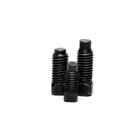 18-8 acier inoxydable A193 A914 B8 A453 A286 INOX SS AISI 304 316 316L A2 A4 70 80 vis de réglage carrées avec pointe de chien DIN479
