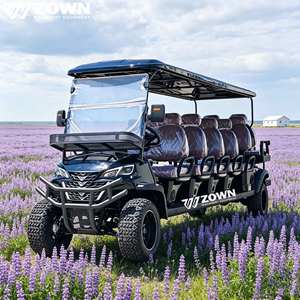 Carrito de Golf Eléctrico de Alto Rendimiento de 4 Plazas con Techo para Transporte Turístico en Zonas Turísticas - Product Image 1
