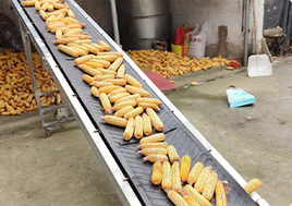 Trasportatore a nastro resistente per l'estrazione mineraria, cemento e grano-velocità regolabile e Design inclinato - Product Image 5