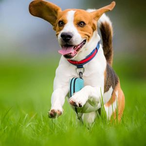 Sacs à déjections canines et félines de qualité standard à base d'amidon de maïs, résistants aux déchirures, en vente - Product Image 3