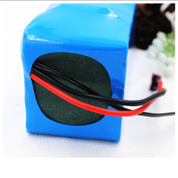 Paket Baterai Lithium Ion DTP18650 OEM ODM Custom Dengan BMS, 24V/48V 7S/10S 10Ah/12Ah Berbagai Konfigurasi S&P untuk Sepeda Motor Roda Tiga