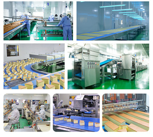 Tùy Chỉnh Hồng Kông Phong Cách Bánh Trứng Bánh Bánh Bánh Mì Bánh Phổ Biến Trung Quốc Trong Nước Ngọt Ngào Món Tráng Miệng Với Độc Lập Bao Bì - Product Image 6