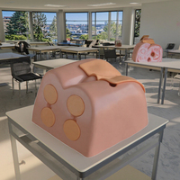 Modèle de simulateur de mannequin pour l'examen de la prostate pour la formation et la pratique médicale